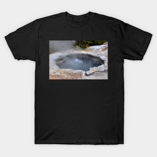 Nouvelle Zélande - Rotorua, Te Puia T-Shirt by franck380